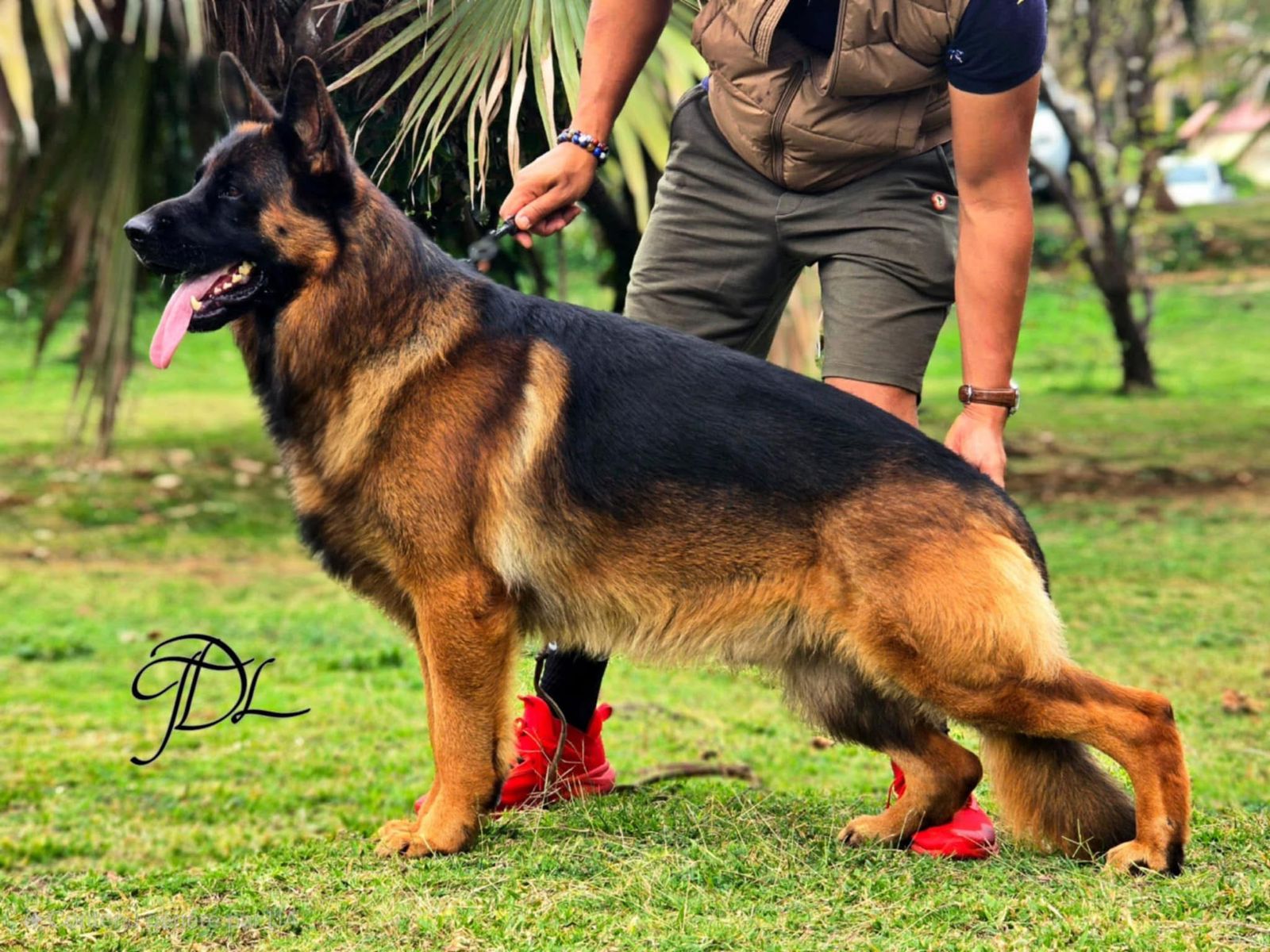 U des Terrils du Ch’Ti