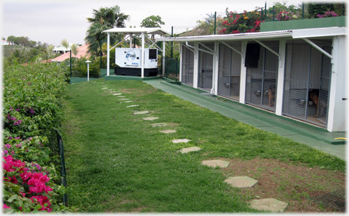 Les boxes de l'élevage de Fleur d'Epée en Guadeloupe